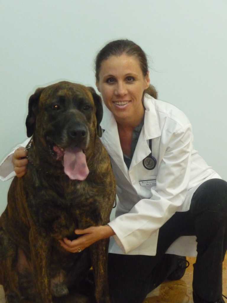 Dr. Lesley Hack a Veterinarian at Boca Veterinary Clinic with her dog.